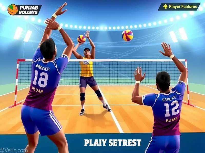 Punjab Volley Triumphs Player Community