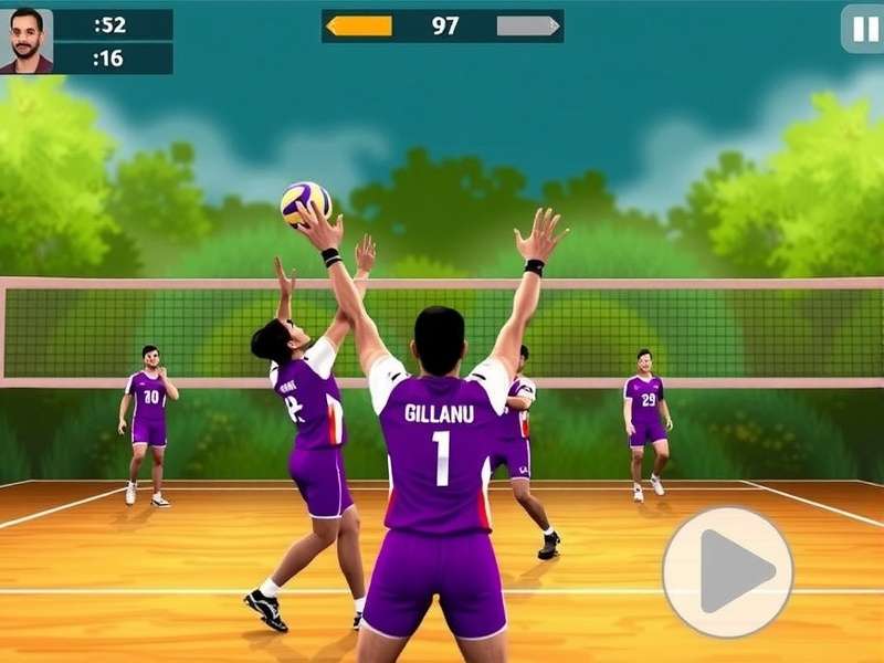 Punjab Volley Triumphs Game Features